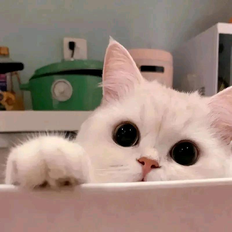 ^O^金