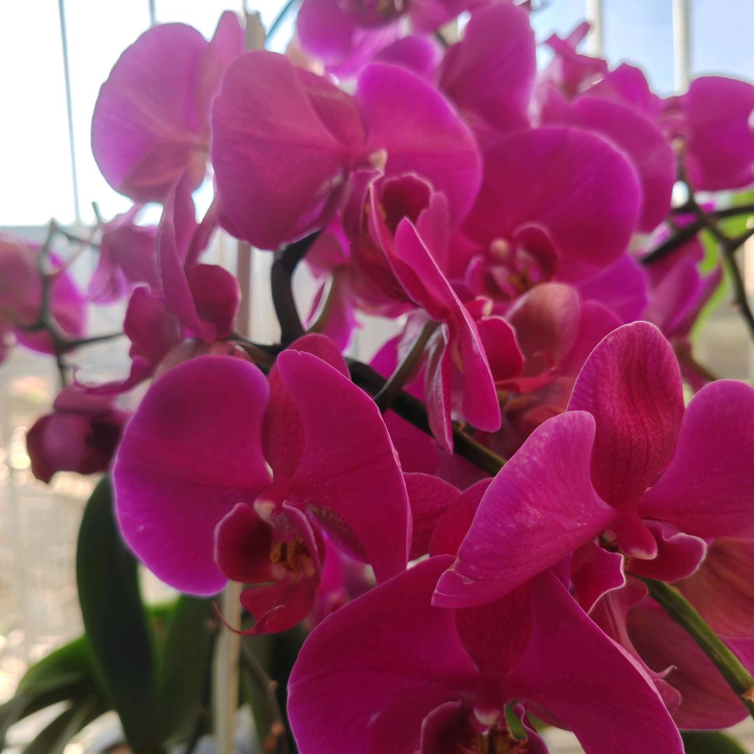 188  喜欢唱歌🎤