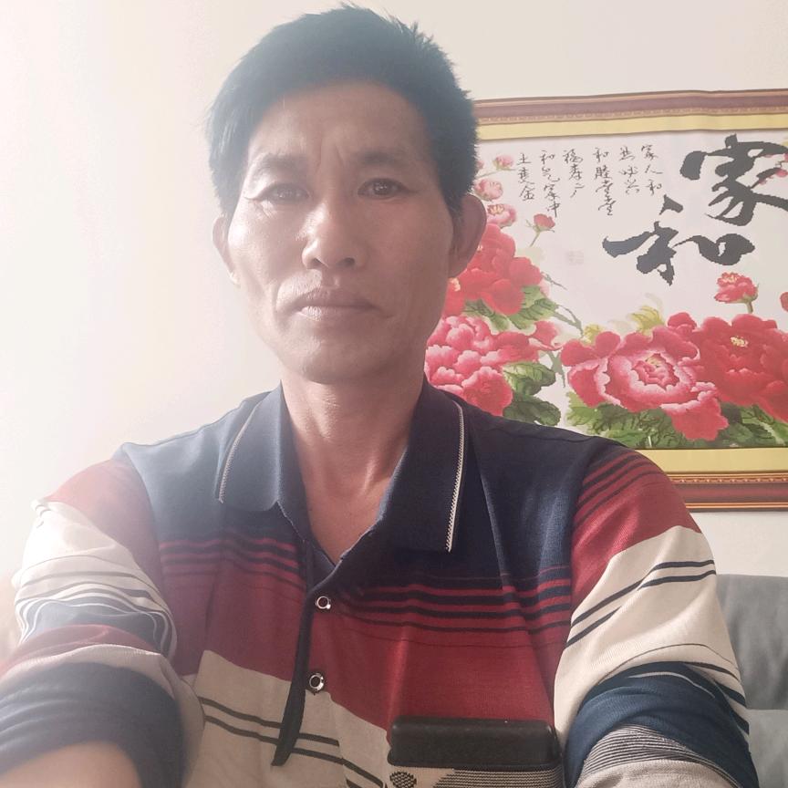 我的真心无人懂