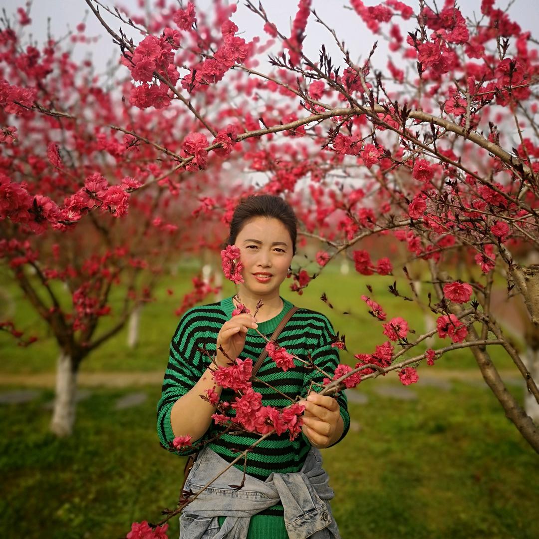 🐉🐉容姐（拒私聊）