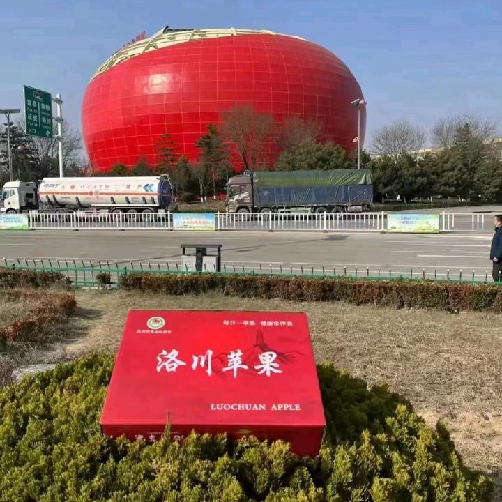 农村打工人👨🏻