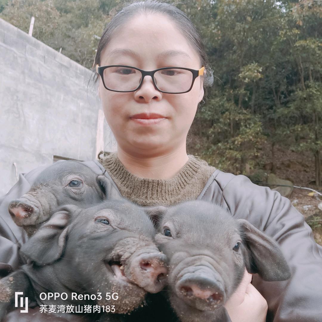 荞麦湾黑猪肉（自养自销）