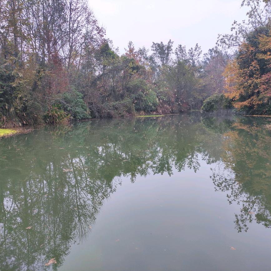 张永忠