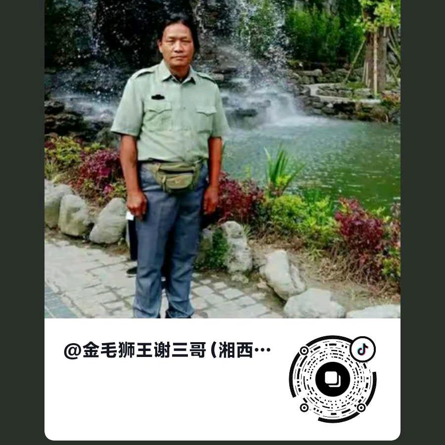 金毛狮王谢三哥