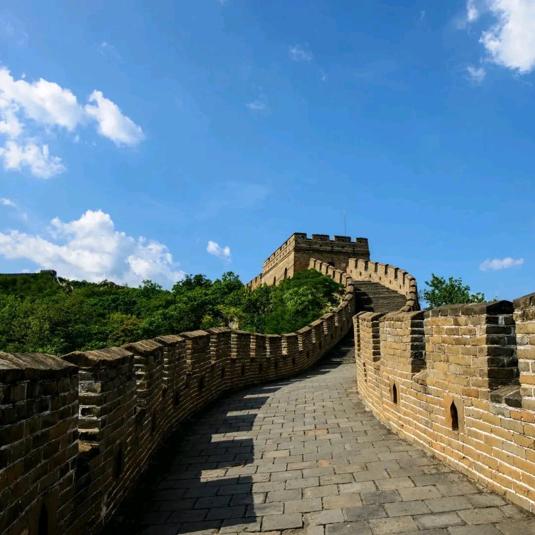 青苹果🍏乐园💖