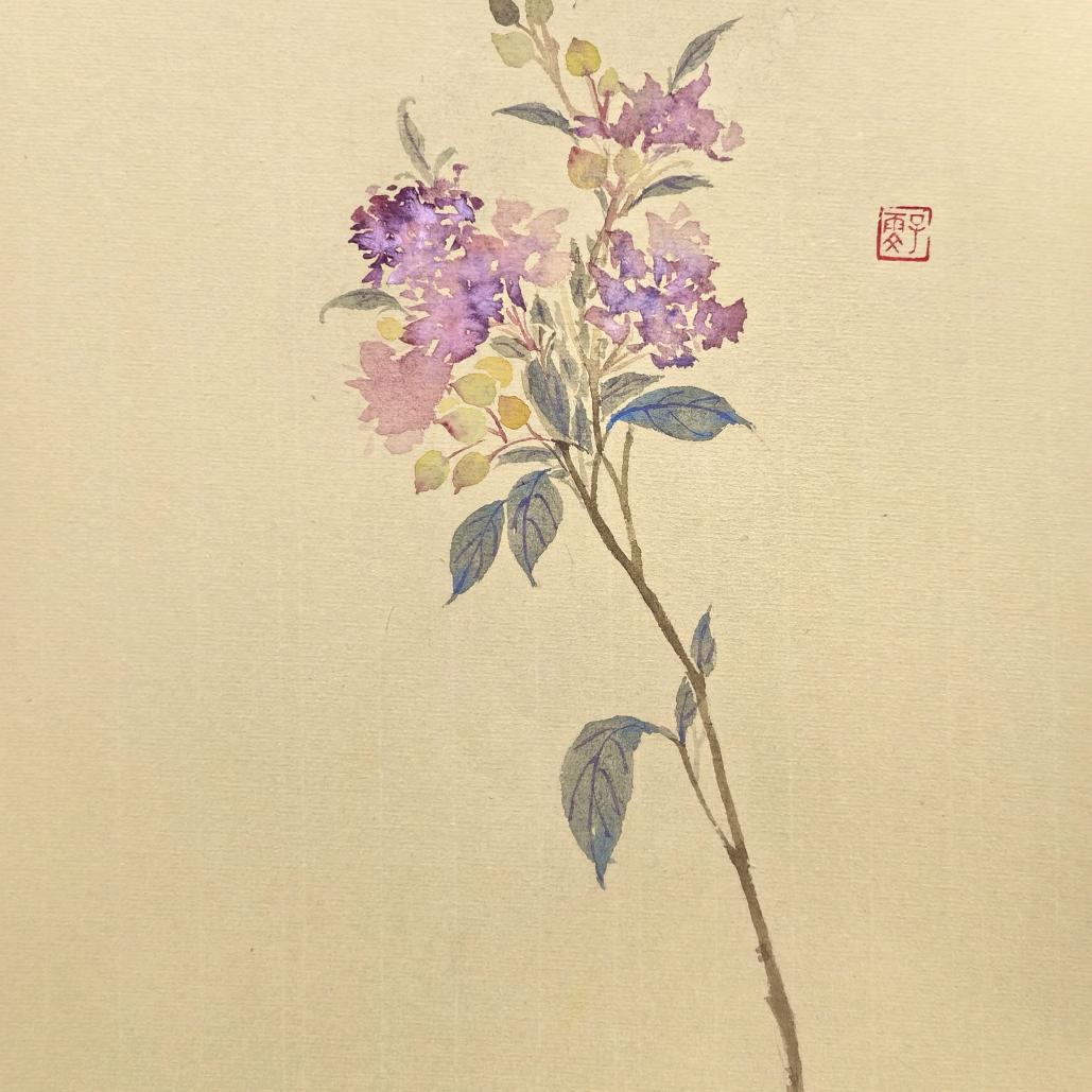 紫、雯
