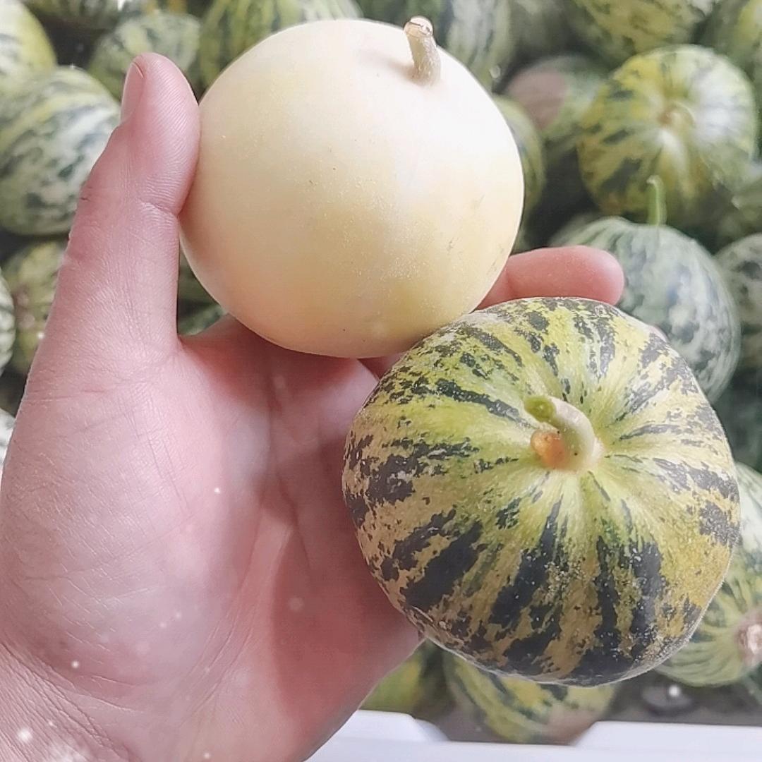 山东屹石农产品