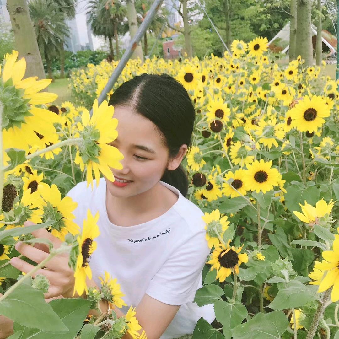 扬扬手工（首播筹备中）