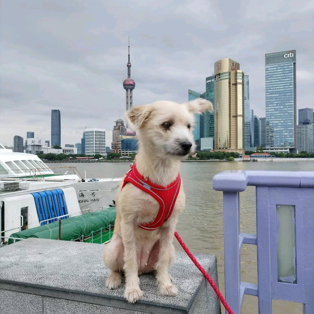 竞不改初衷