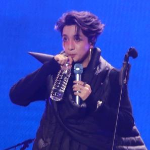 小杨肖恩Glin（玫瑰花灯版）