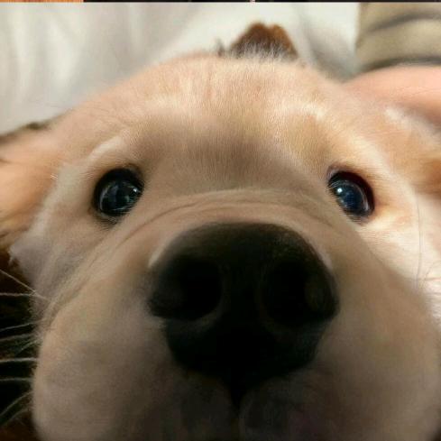 我妈妈说名字太长会有傻子跟着念