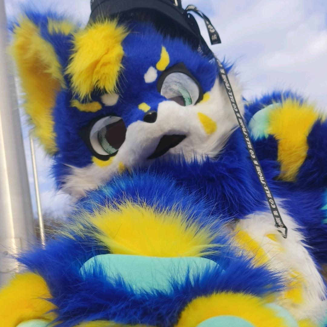 传说版d毛毛大人℡