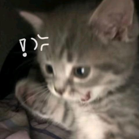 慕子天