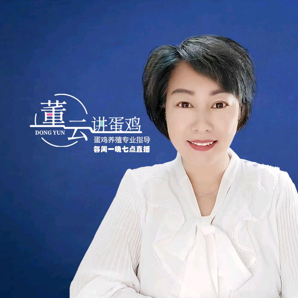 董云讲蛋鸡晓萌