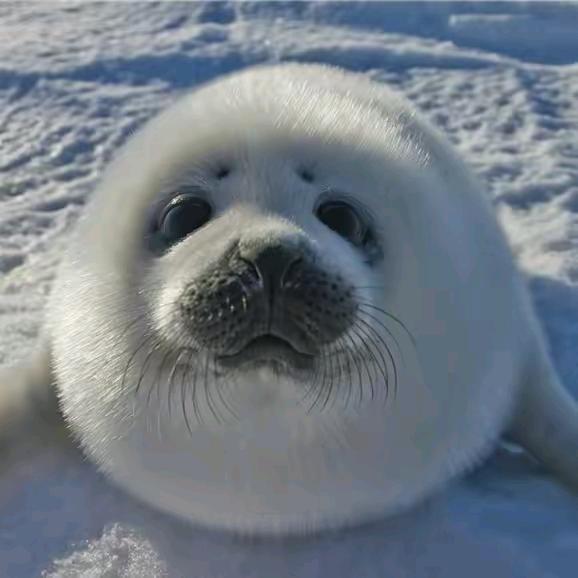 🌈安逸的晚风@。。