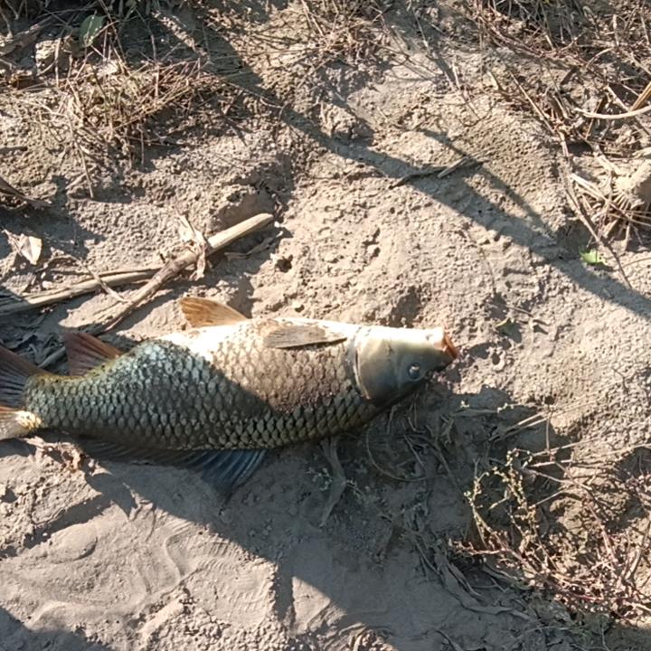 青岛那边