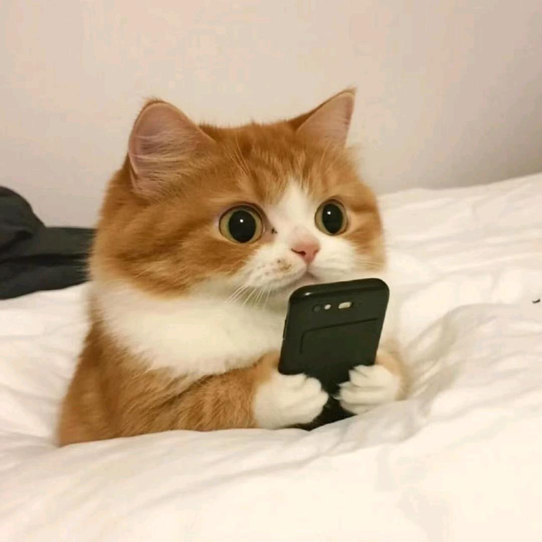 用户9564863627936