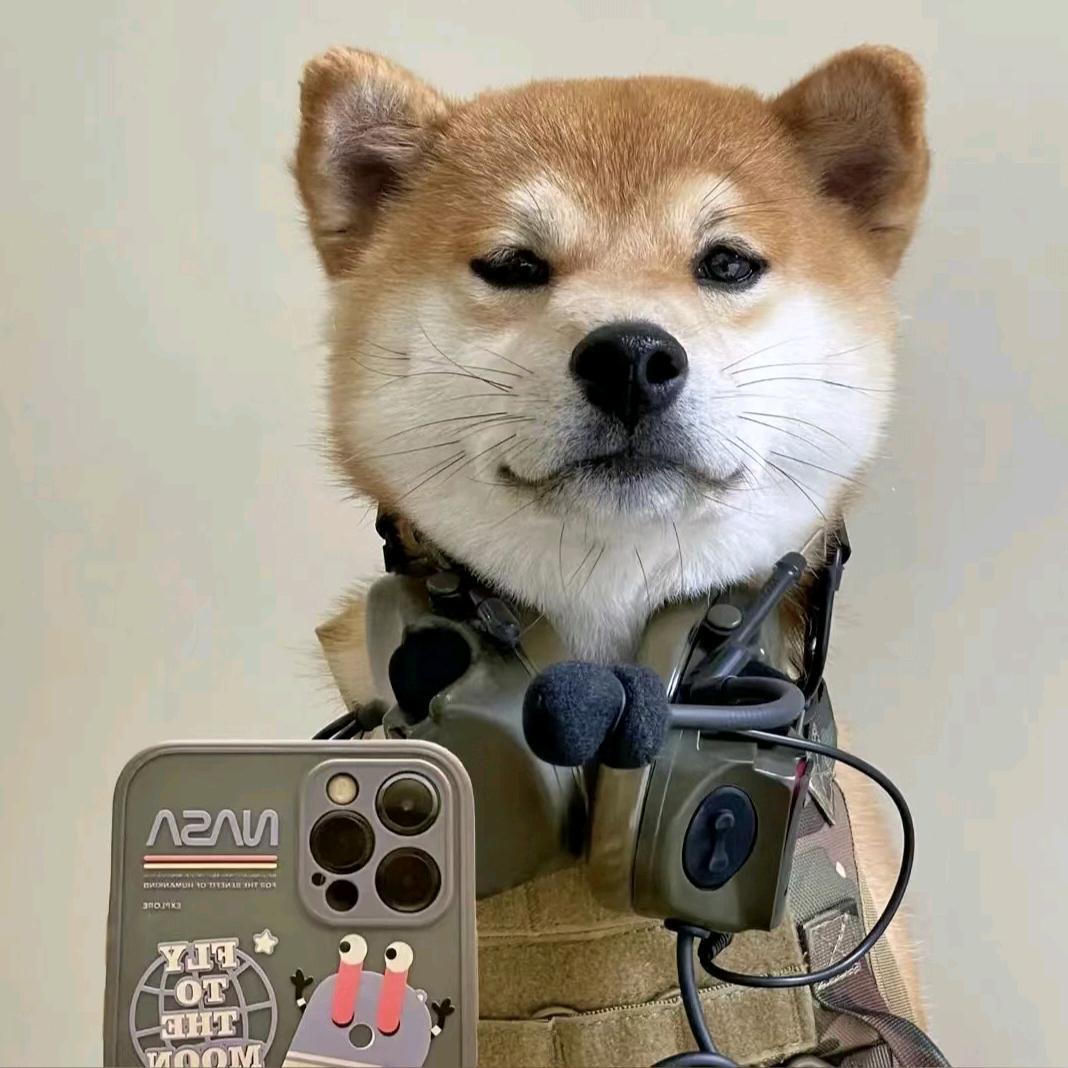 博📸（代驾）