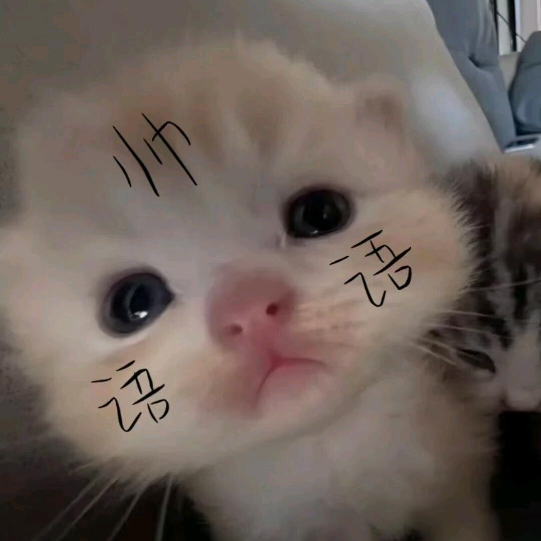 1yyq青