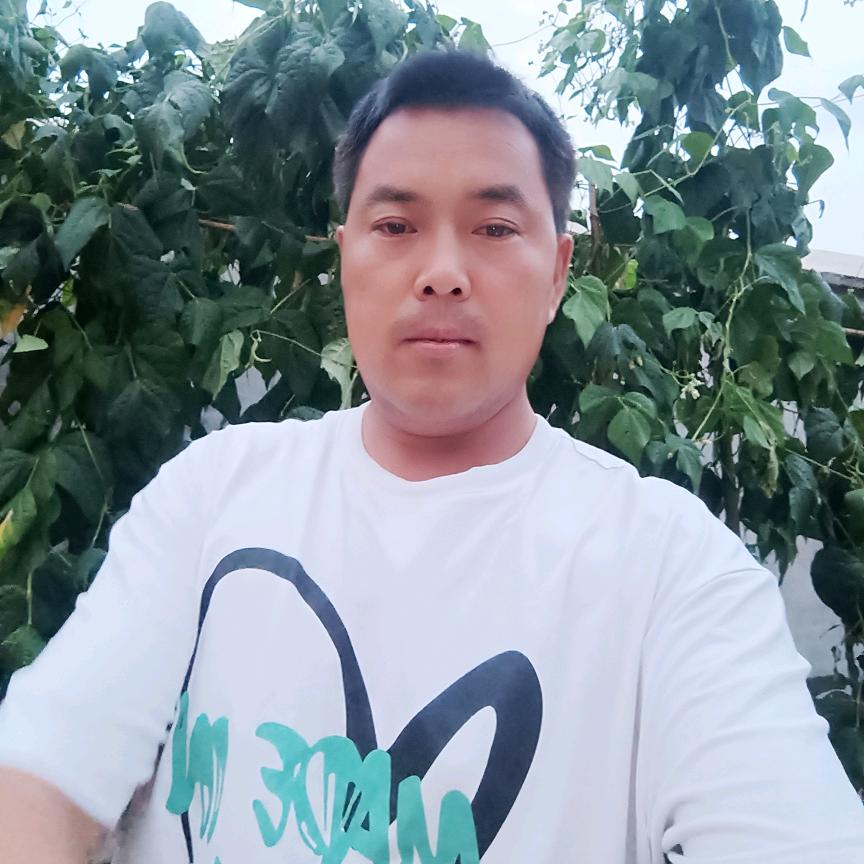走南闯北