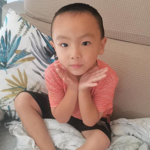 正阳岳城藏香猪，二代野猪杂交香猪养殖场