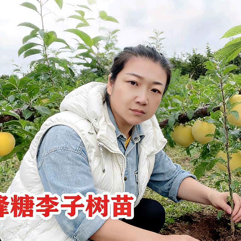 洪翠果树苗木专营店