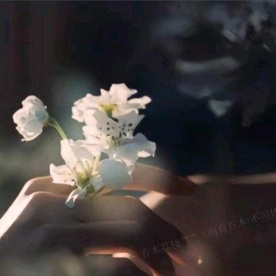 好运常伴🌸