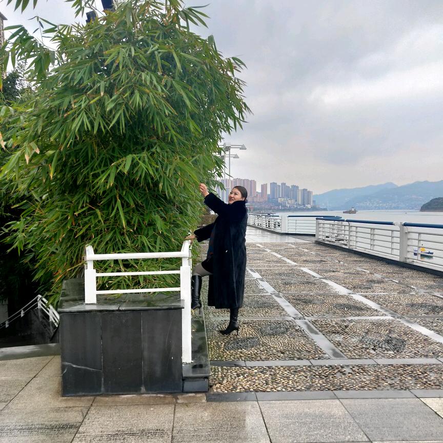 萬事如意