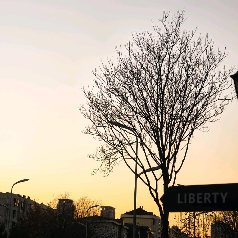 🌈谁有特毛柔🌈