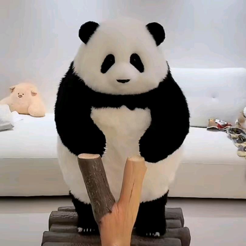 Panda (づ ●─● )づ