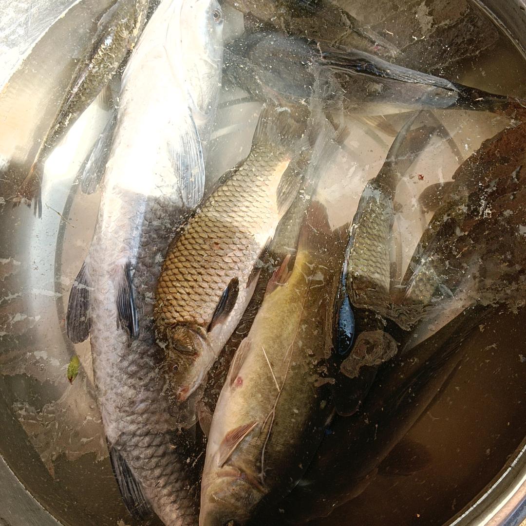 铭于心