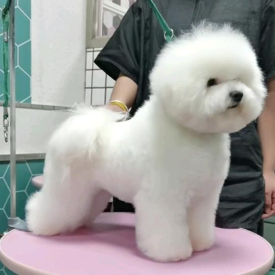 路清商贸日用品宠物精选铺