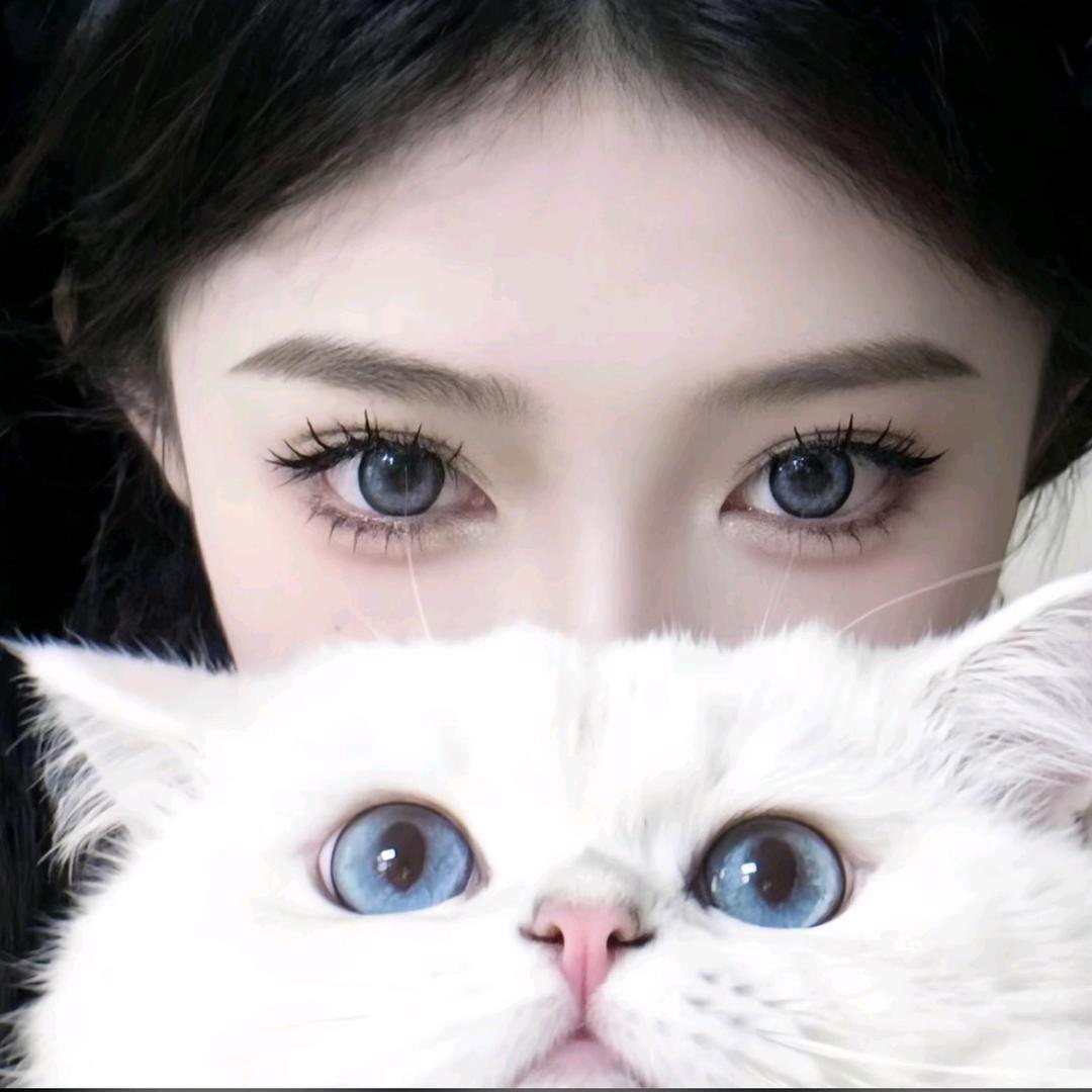 .๑๑呆呆不呆🤺