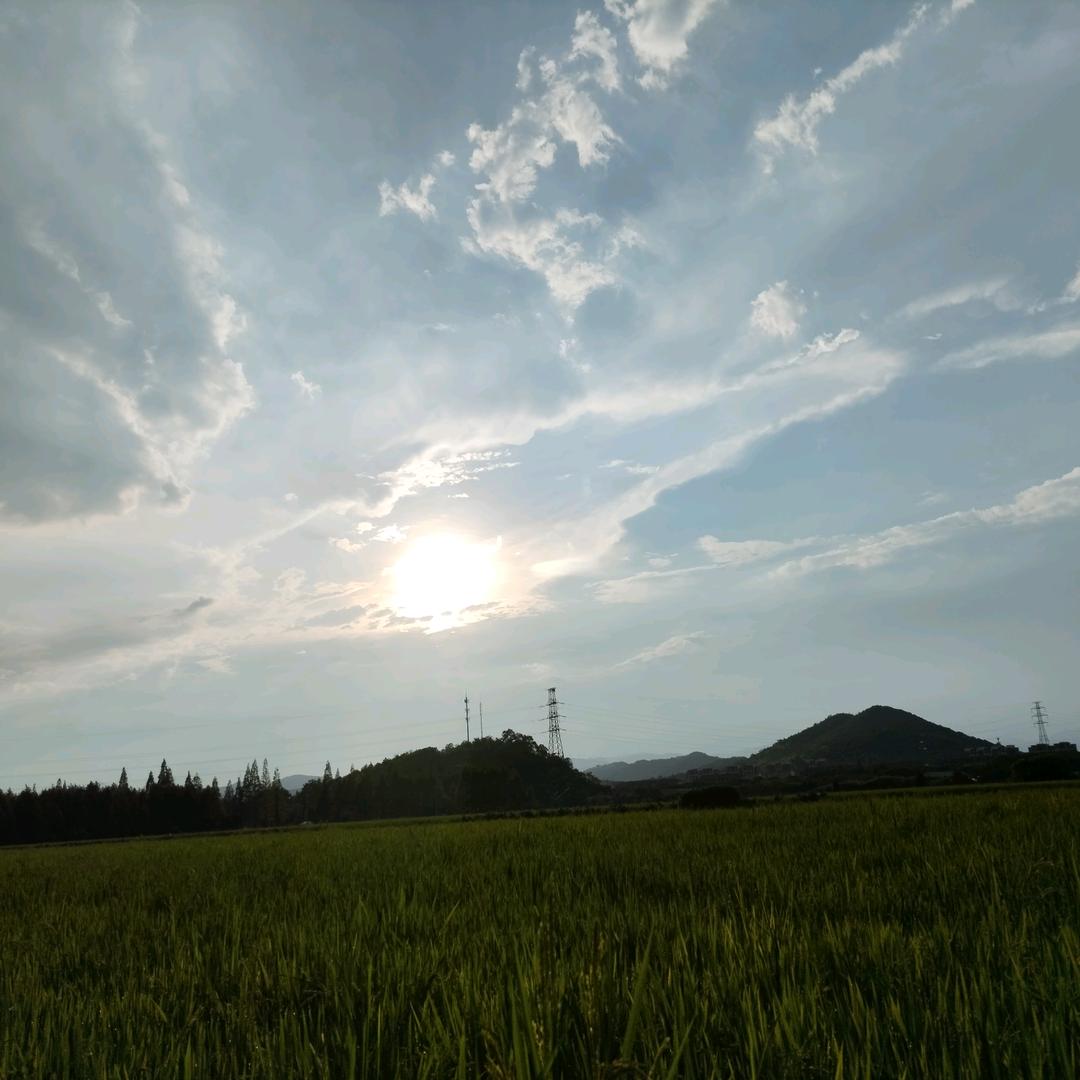 杨梅汁剩下土气