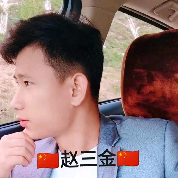 赵三 金