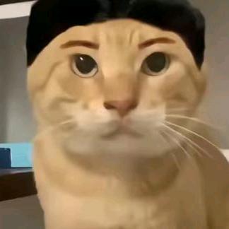 圆头人耋