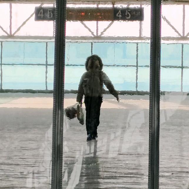 小笨瑶的猪猪杰