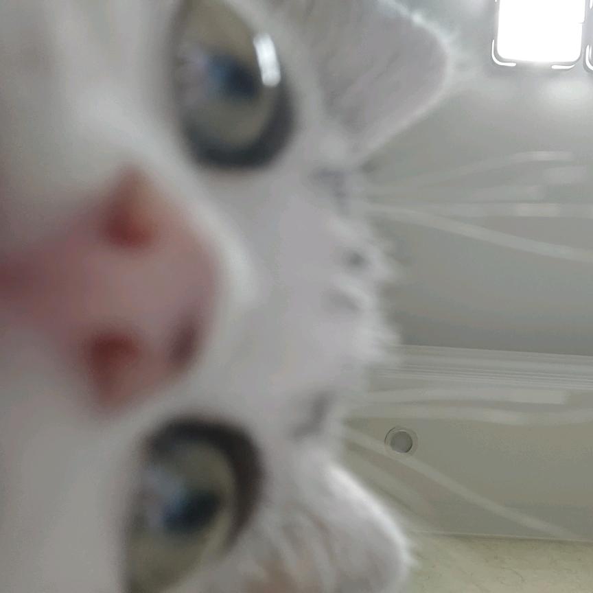 灼