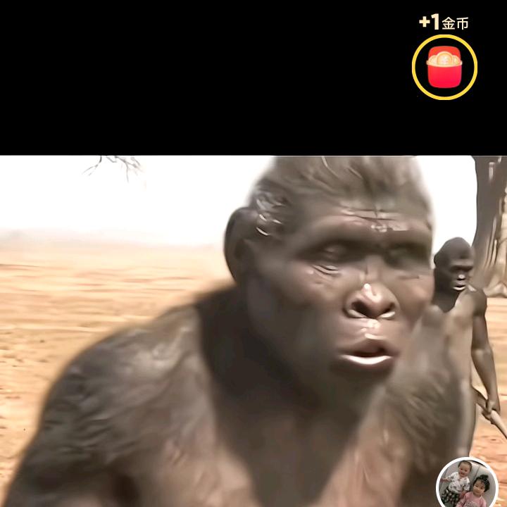 你涛爹