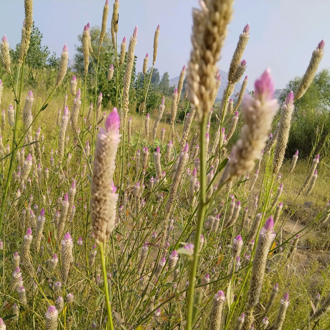 💞᭄ཽ࿆多财 多亿꧔