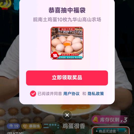 陈娅芬