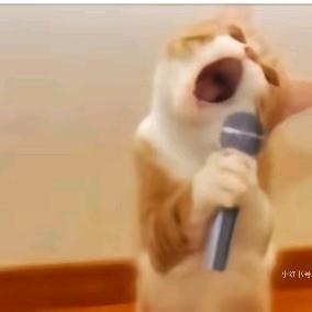 嘴强歌手（王者）