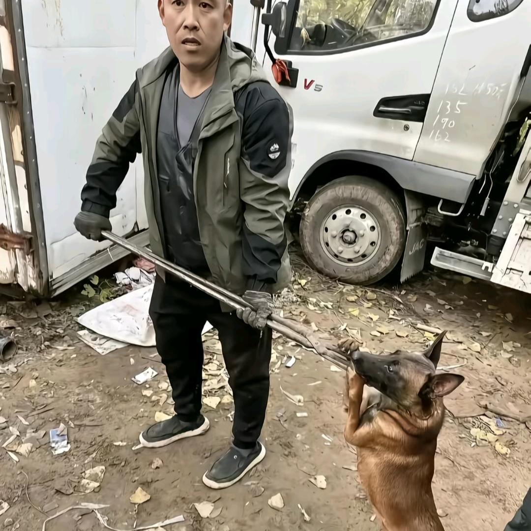 AAA专业套狗公司符师傅