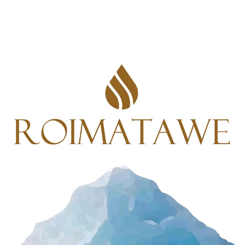 罗伊玛妥（上海）商贸有限公司企业店