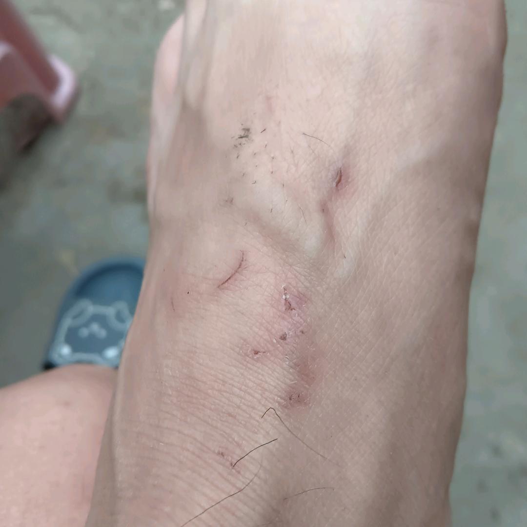 行行行行行行