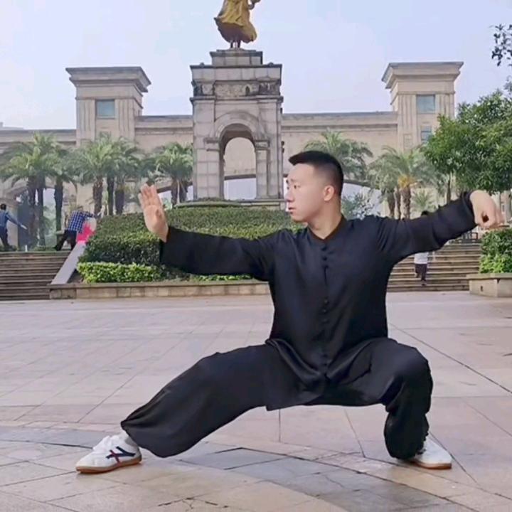 太极•常华森