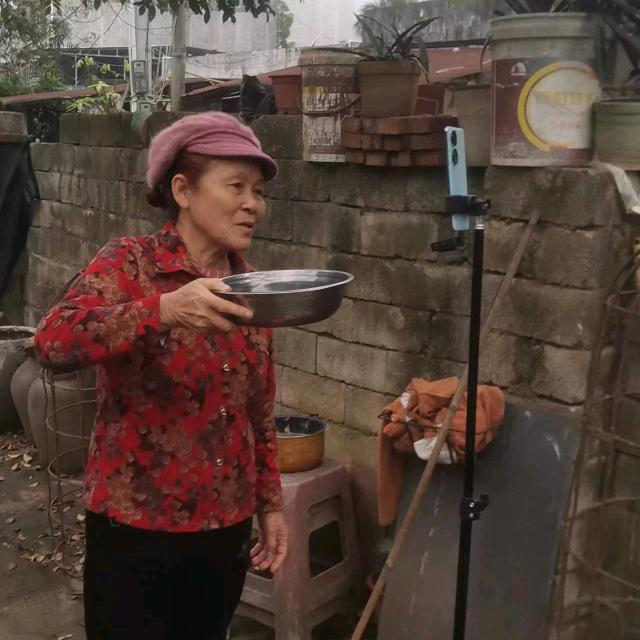 枫景（下午3：10）