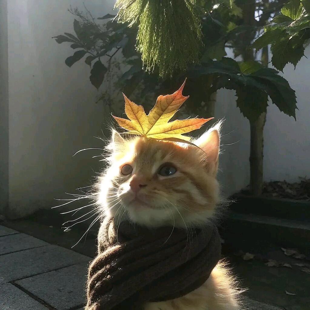 爻