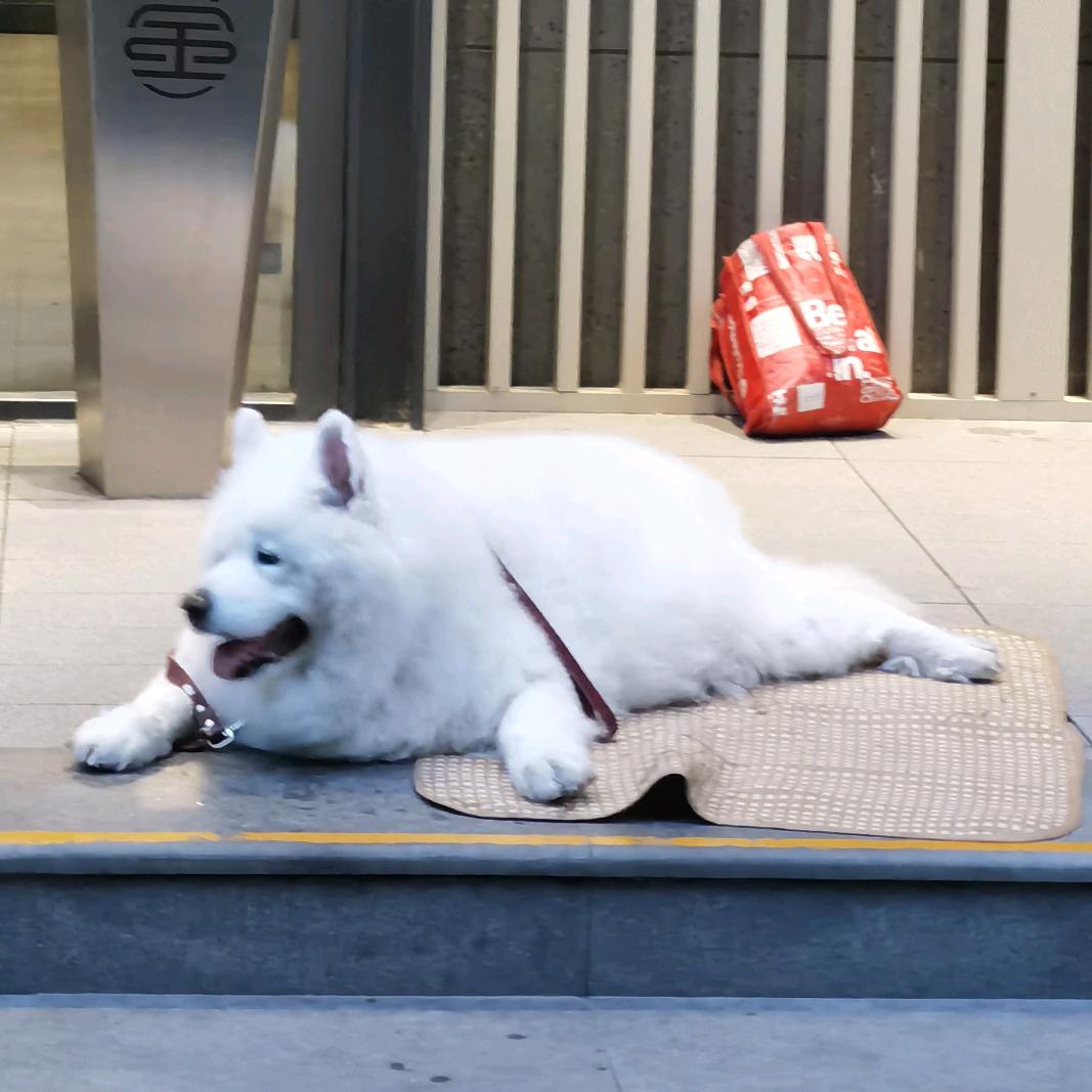老朽