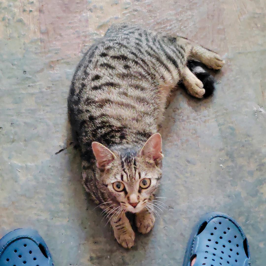 _相逢何必曾相识